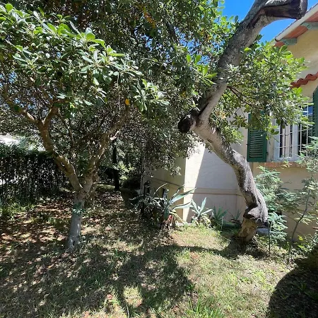 Villa Delle Acacie Pisa