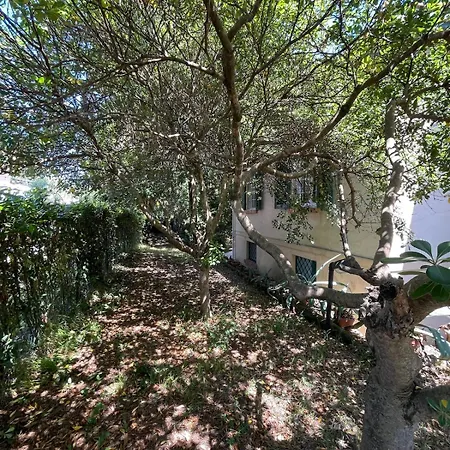Delle Acacie Villa *