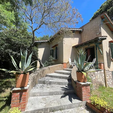 Delle Acacie Villa Pisa